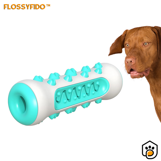 FlossyFido™