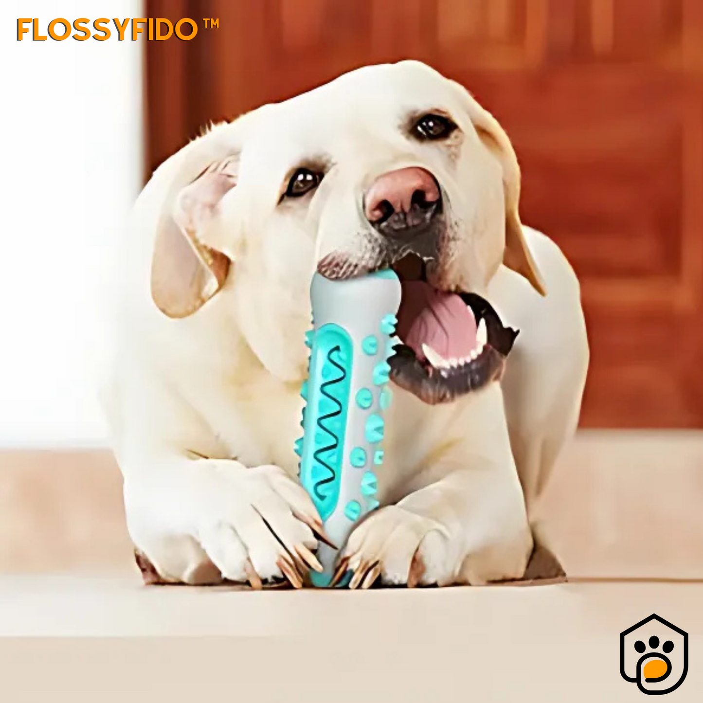 FlossyFido™