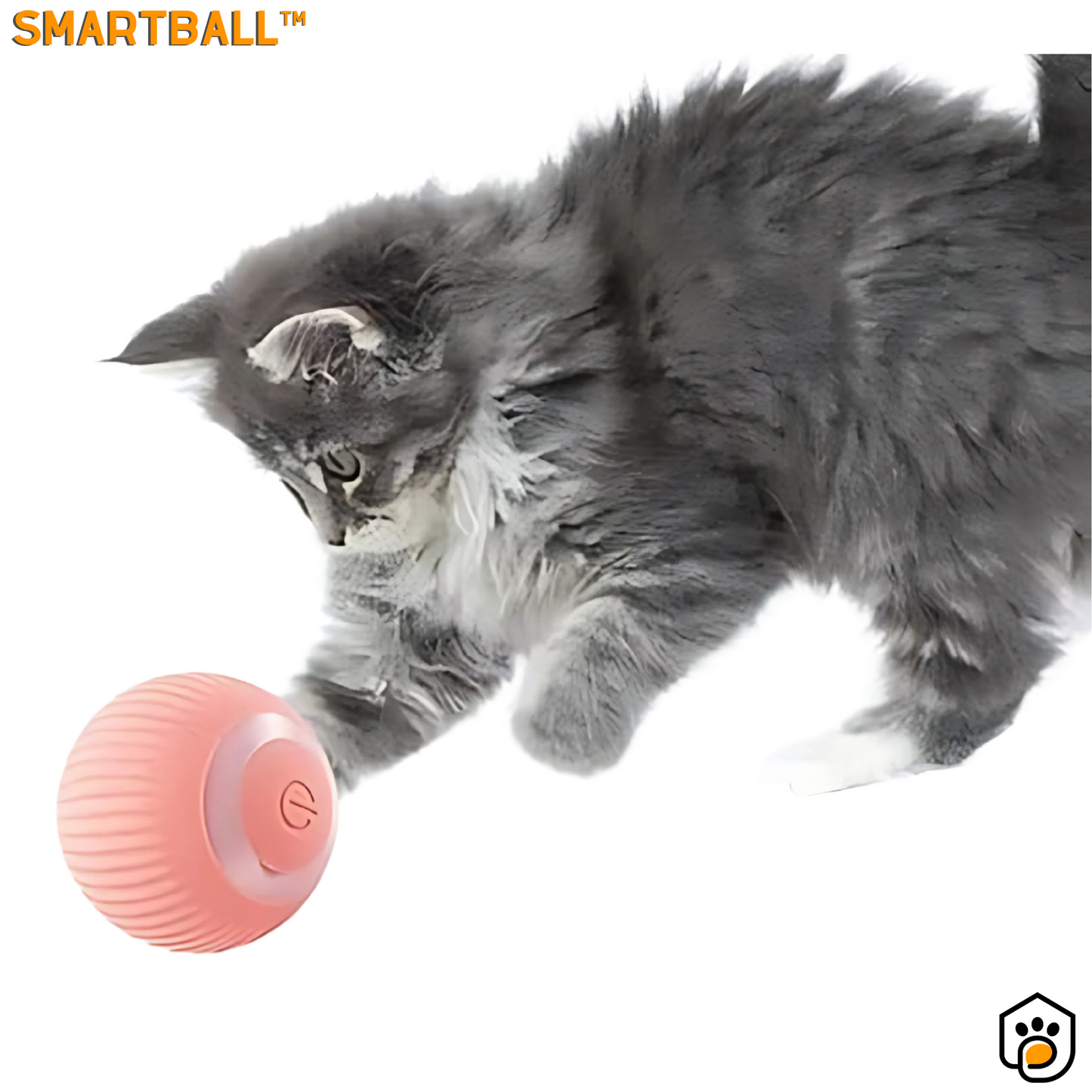 SmartBall™