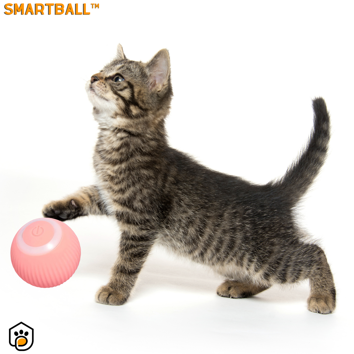 SmartBall™